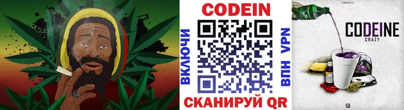 Купить закладки  Елизово  Кодеин напиток Lean (лин) 