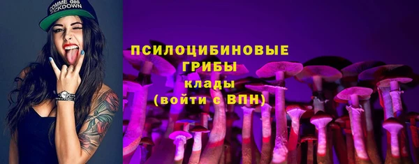 ешки Арсеньев