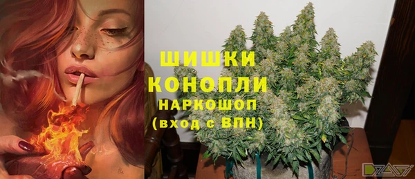 ешки Арсеньев