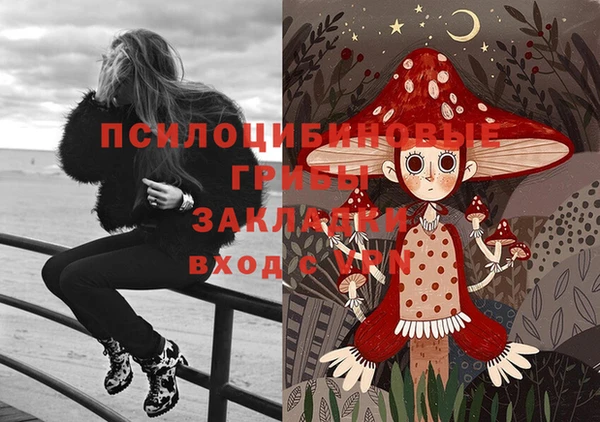 мяу мяу мука Армянск