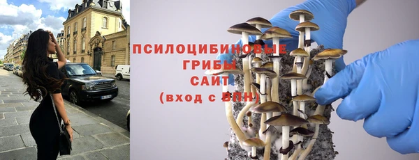 мяу мяу мука Армянск